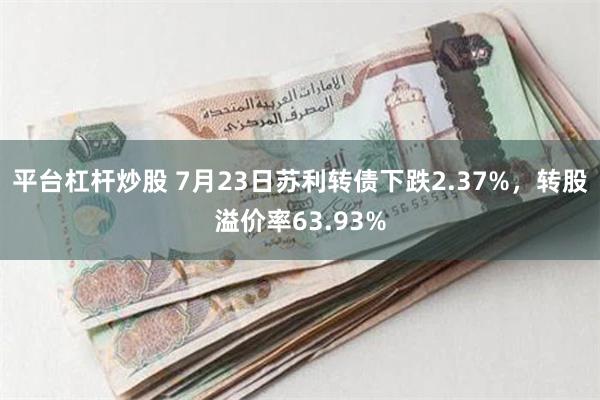 平台杠杆炒股 7月23日苏利转债下跌2.37%，转股溢价率63.93%