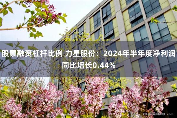 股票融资杠杆比例 力星股份：2024年半年度净利润同比增长0.44%