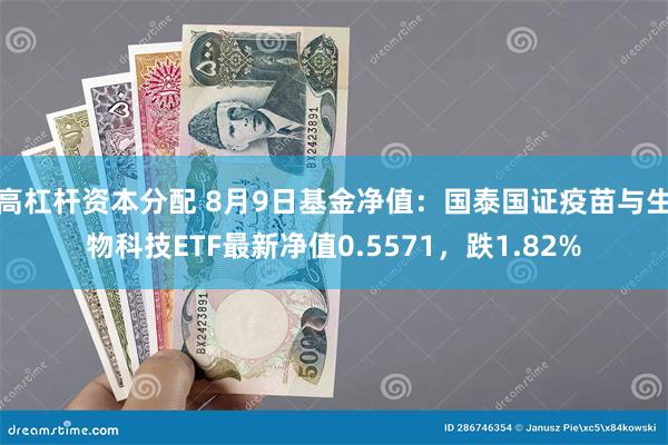 高杠杆资本分配 8月9日基金净值：国泰国证疫苗与生物科技ETF最新净值0.5571，跌1.82%