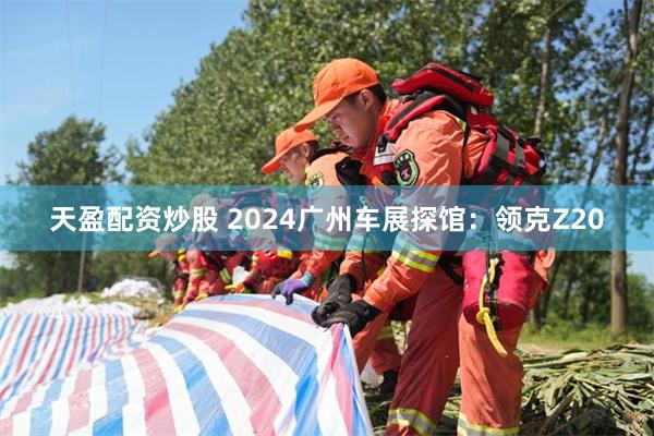 天盈配资炒股 2024广州车展探馆：领克Z20