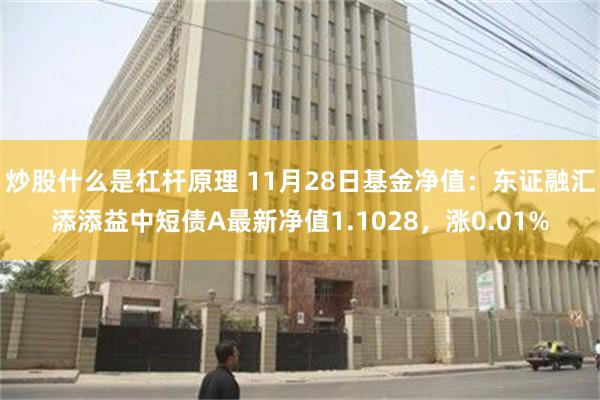 炒股什么是杠杆原理 11月28日基金净值：东证融汇添添益中短债A最新净值1.1028，涨0.01%