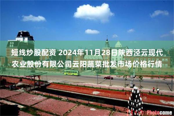 短线炒股配资 2024年11月28日陕西泾云现代农业股份有限公司云阳蔬菜批发市场价格行情