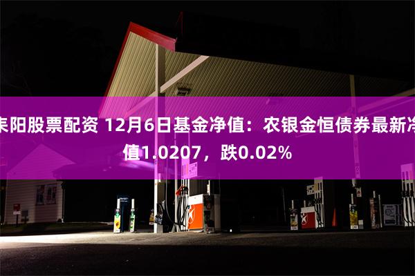 耒阳股票配资 12月6日基金净值：农银金恒债券最新净值1.0207，跌0.02%